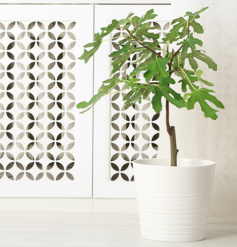 Aluminum single panel